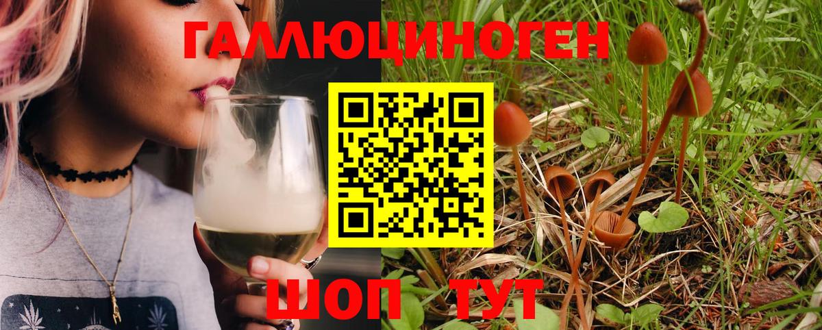 Галлюциногенные грибы Psilocybe  Галлюциногенные грибы MAGIC MUSHROOMS  Тавда  Вход с VPN 